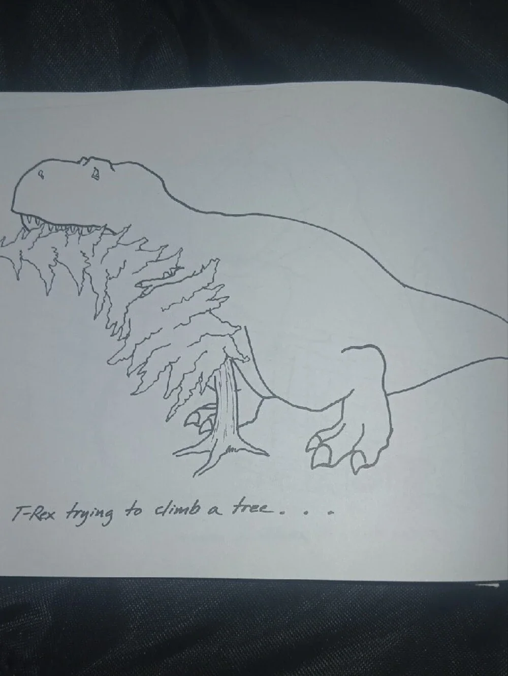 T-Rex Trying Hardcover Book By Hugh Murphy 2013